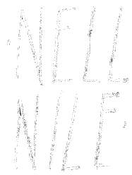Nell Nile