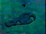 boiling  (211k) gif build video