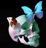 Metamorphosis of ideas