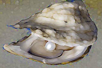 Oyster