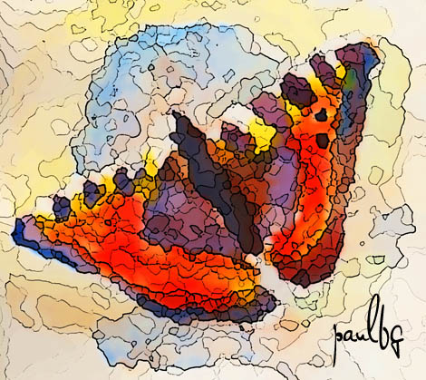 Tortoiseshell