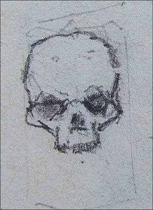 The Rook Skull