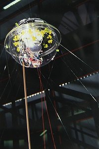 Virus installation
