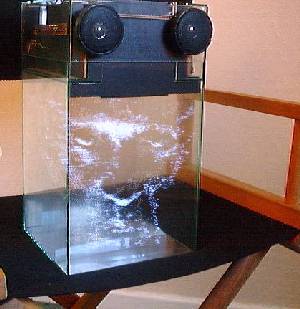 Leo hologram